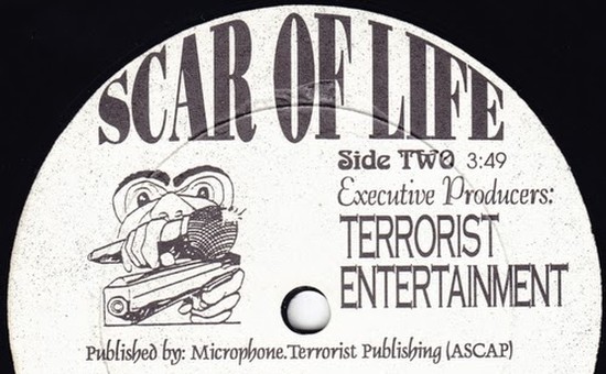 Microphone Terrorists Scar Of Life