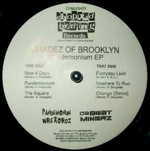 Shadez of Brooklyn – Change b/w When It Rains It Pours (1996)