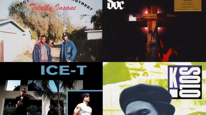 Vinyl Corner: Neuauflagen von The D.O.C., K-Solo, Ice-T und Totally Insane